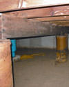 Mold and rot thriving in a dirt floor crawl space in Portland