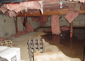 Fiberglass dripping off of the ceilings of a Portsmouth crawl space