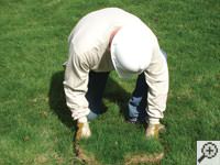 Restoring the landscaping by replacing removed sod on the ground for a Biddeford home.
