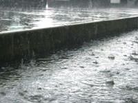 Heavy rains in a downpour in Gardiner.