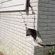 foundation walls cracked due to settlement in Portland