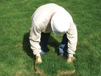 Restoring the landscaping by replacing removed lawn sections for a Dover home.
