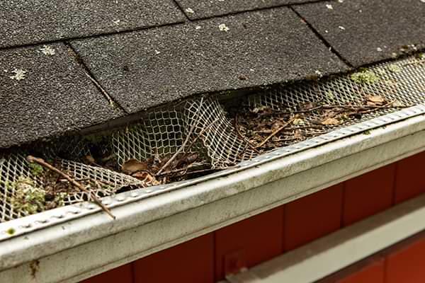 Maine clogged gutters