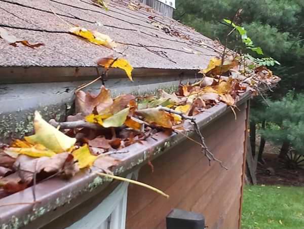 Greater Portland clogged gutters