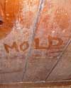 The word mold written with a finger on a moldy wood wall in South Portland