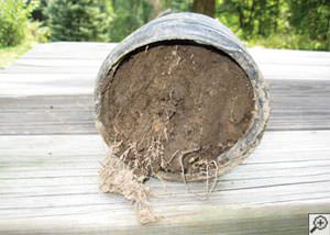clogged french drain found in Exeter, Maine