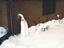IceGuard® Installed Lewiston
